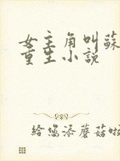 女主角叫苏黎的重生小说