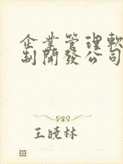 企业管理软件定制开发公司