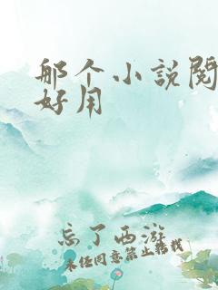 那个小说阅读器好用