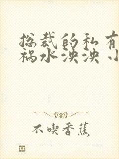 总裁的私有宝贝祸水泱泱 小说免费阅读