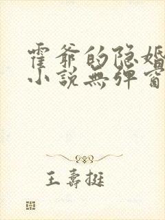 霍爷的隐婚罪妻小说无弹窗