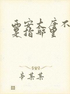 西安大唐不夜城是指哪里