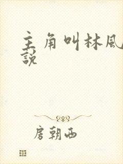 主角叫林风的小说