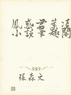 凤惑君叶凌天的小说笔趣阁