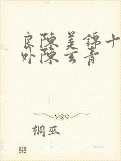 良陈美锦十个番外陈玄青