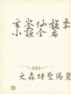 玄鉴仙族季越人小说全篇