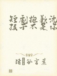 短剧抱歉沈先生孩子不是你的全集