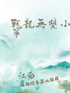 战龙无双小说陈宁