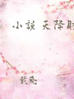小说 天降财运