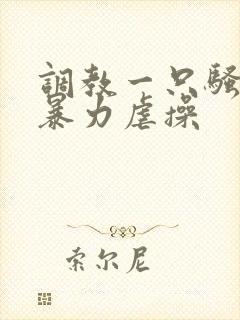 调教一只骚母狗暴力虐操