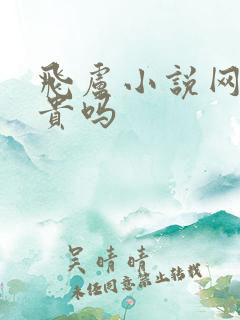 飞卢小说网看书贵吗
