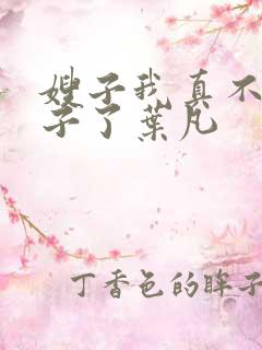 嫂子我真不是傻子了叶凡