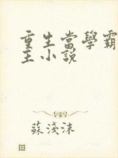 重生当学霸的女主小说