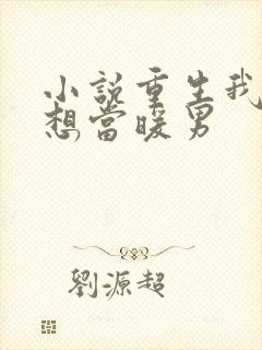 小说重生我真没想当暖男