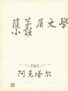 获茅盾文学奖的小说