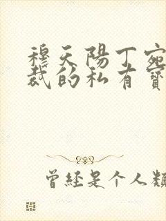穆天阳丁宛情总裁的私有宝贝
