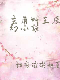主角叫王辰的玄幻小说
