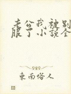 老公我被别人征服了小说全文阅读