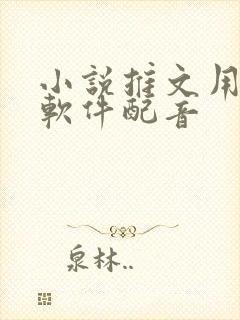 小说推文用什么软件配音