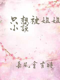 只想被姐姐罚的小说