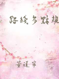 路线多点规划