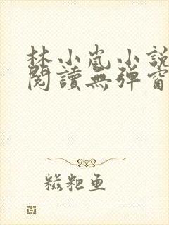 林小岚小说免费阅读无弹窗