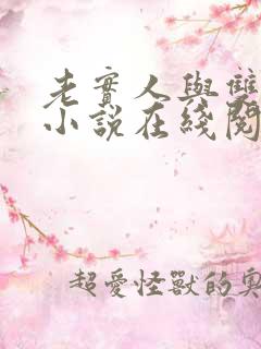 老实人与双胞胎小说在线阅读