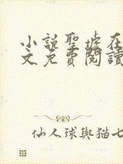 小说圣墟在线全文免费阅读
