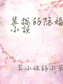 慕总的隐婚罪妻小说