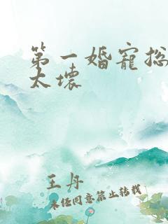 第一婚宠总裁别太坏