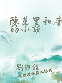 陈万里和唐嫣然的小说