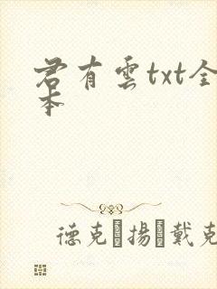 君有云txt全本