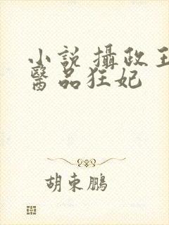 小说 摄政王的医品狂妃