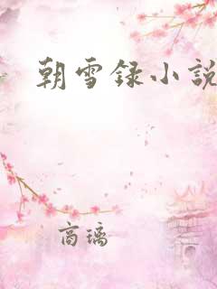 朝雪录小说原著