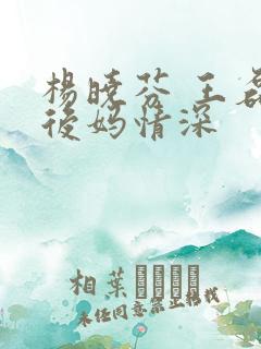 杨晓芬 王磊 后妈情深