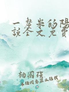 一厘米的阳光小说全文免费阅读