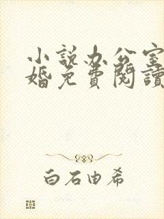 小说办公室的隐婚免费阅读