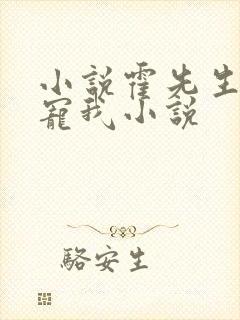 小说霍先生乖乖宠我小说