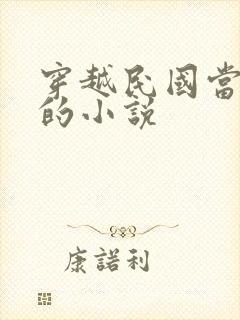 穿越民国当县长的小说