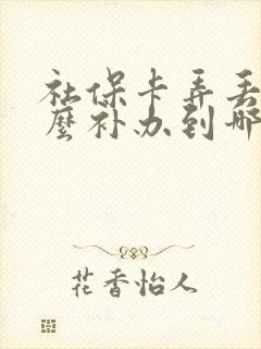 社保卡弄丢了怎么补办到哪里补办