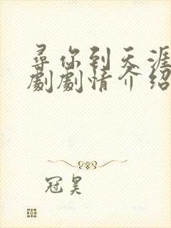 寻你到天涯电视剧剧情介绍