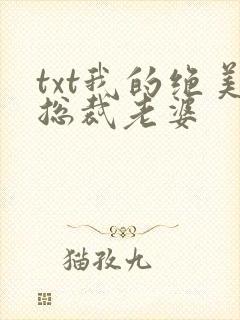 txt我的绝美总裁老婆