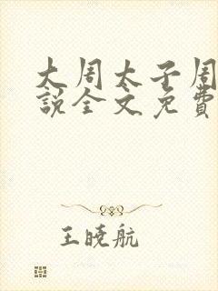 大周太子周铮小说全文免费