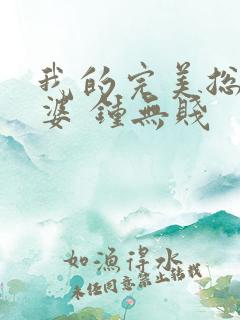 我的完美总裁老婆 钟无贱