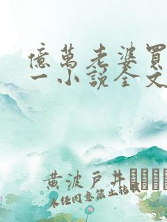 亿万老婆买一送一小说全文