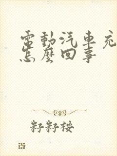电动汽车充电响怎么回事