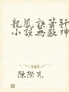 龙凤诀萧轩夏萍小说无敌神医免