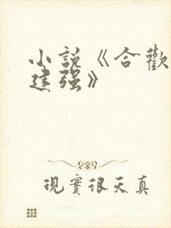 小说《合欢宗王建强》