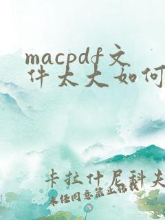 macpdf文件太大如何变小
