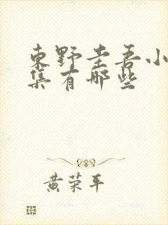 东野圭吾小说全集有哪些